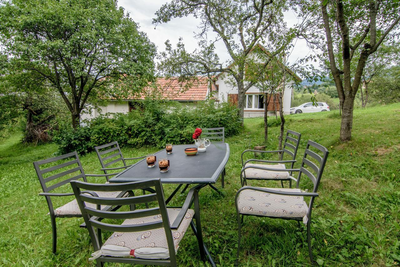 Casa Bunicii - Bran Sohodol Villa Sohodol  ภายนอก รูปภาพ